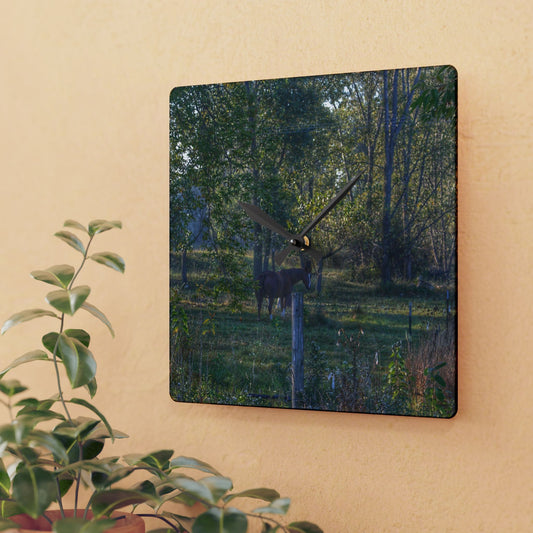 U R There Photography Chestnut Horse Among the Trees Rustic Farmhouse Acrylic Analog Wall Clock
