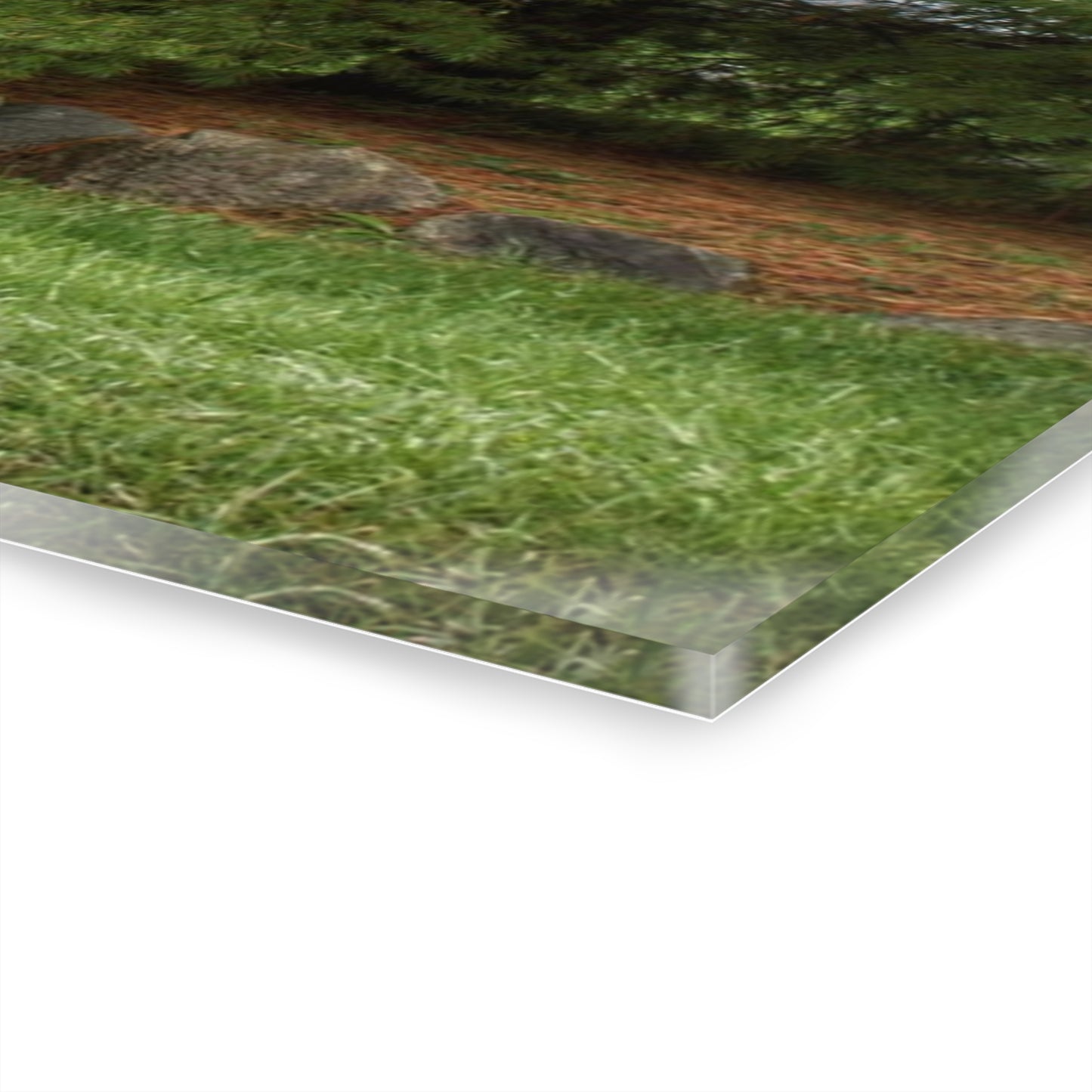 U R There Photography Dequindre Road Grey II Rustic Farmhouse Acrylic Wall Print