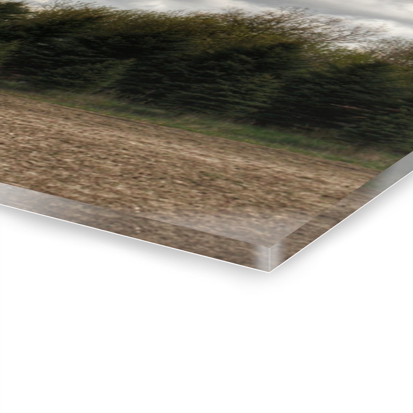 U R There Photography Sandusky Grey in the Pines Rustic Farmhouse Acrylic Wall Print