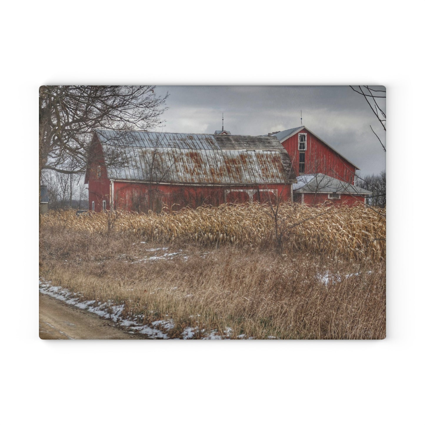 U R There Photography Edward Road Reds Rustic Farmhouse Tempered-Glass Cutting Board