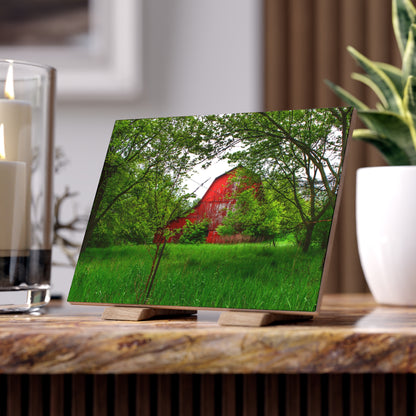 U R There Photography Bird Road Red Rustic Farmhouse Decorative Ceramic Tile