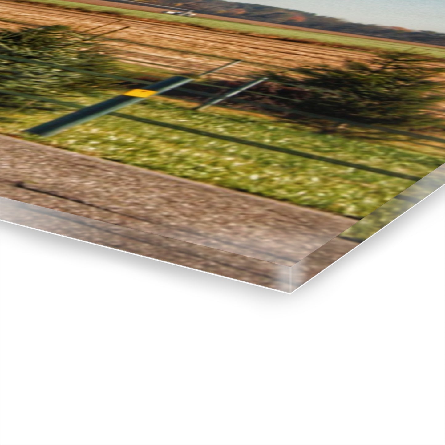 U R There Photography Fences, Firs and Fall Rustic Farmhouse Acrylic Wall Print