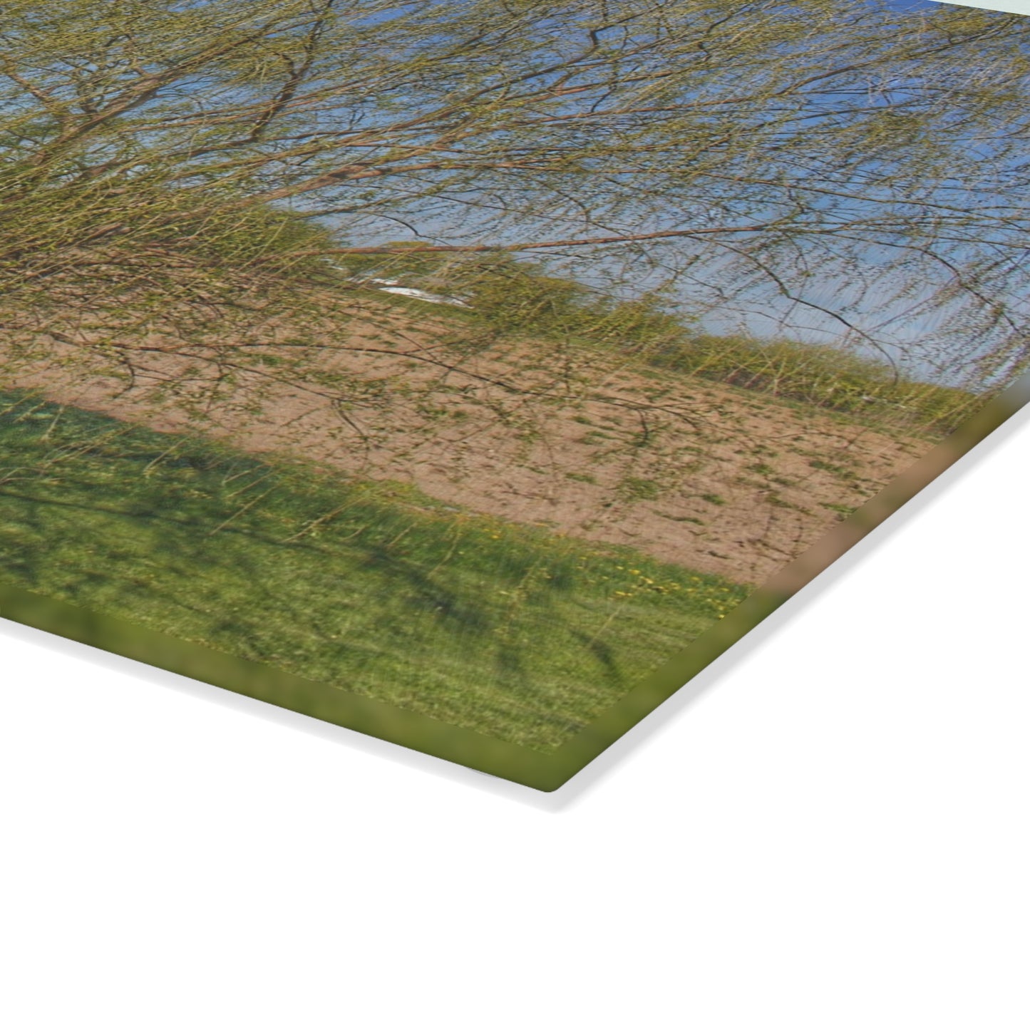U R There Photography Spring Farm Willow Tree Rustic Farmhouse Tempered-Glass Cutting Board