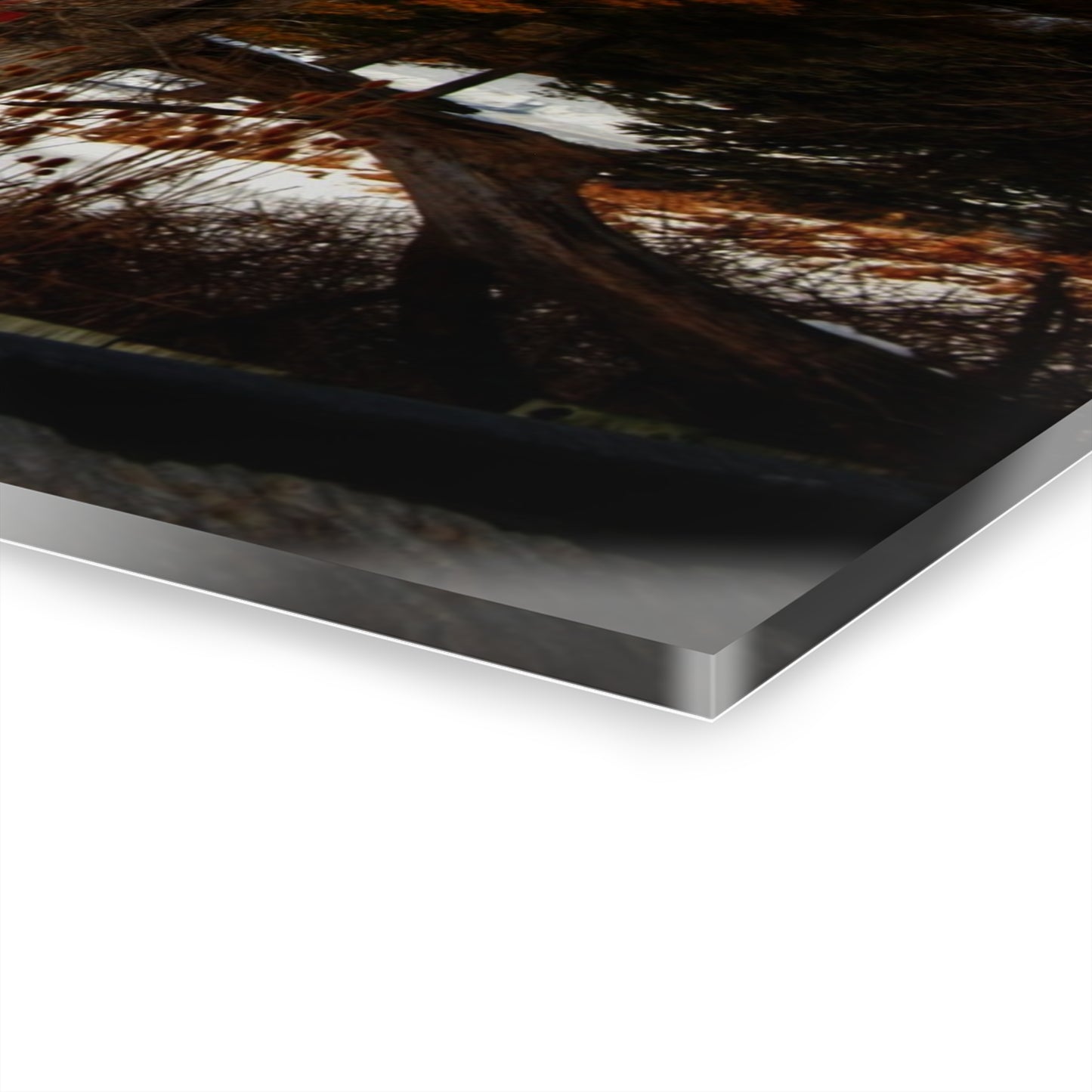 U R There Photography Hadley Road Hidden Red in Winter Rustic Farmhouse Acrylic Wall Print