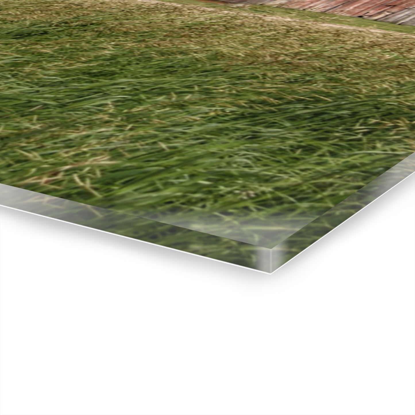 U R There Photography Hunters Creek Reds Rustic Farmhouse Acrylic Wall Print