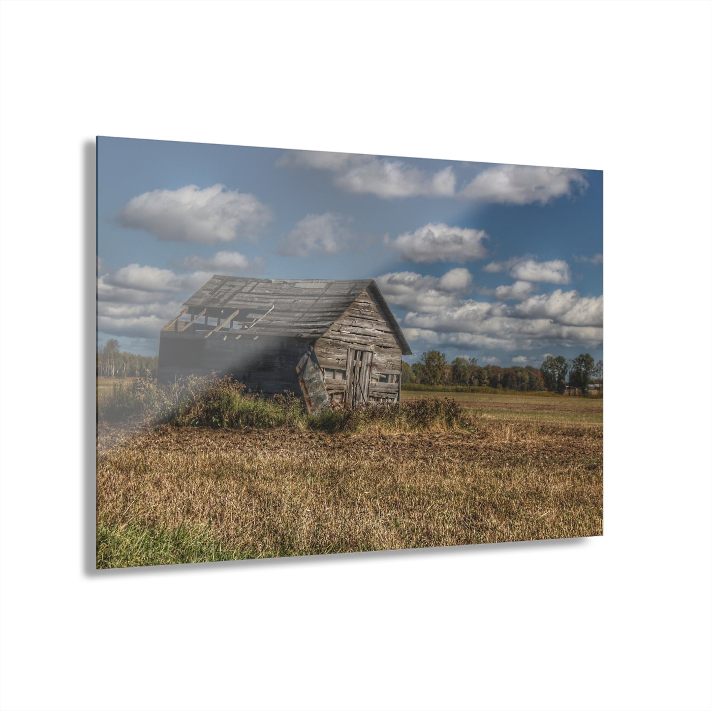 U R There Photography Freiberger Road Little Grey Shack Rustic Farmhouse Acrylic Wall Print