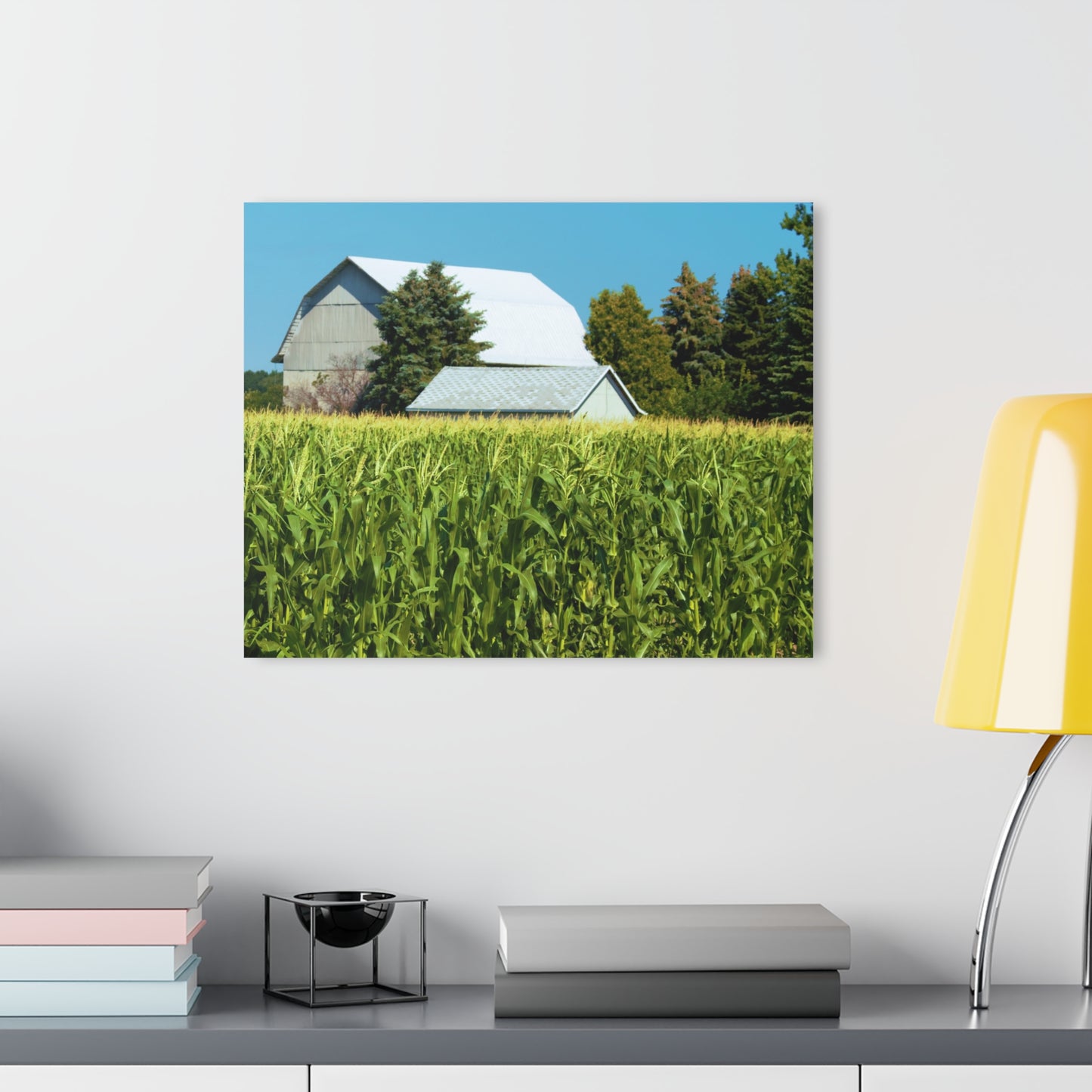 U R There Photography White Cornfield Barn Rustic Farmhouse Acrylic Wall Print