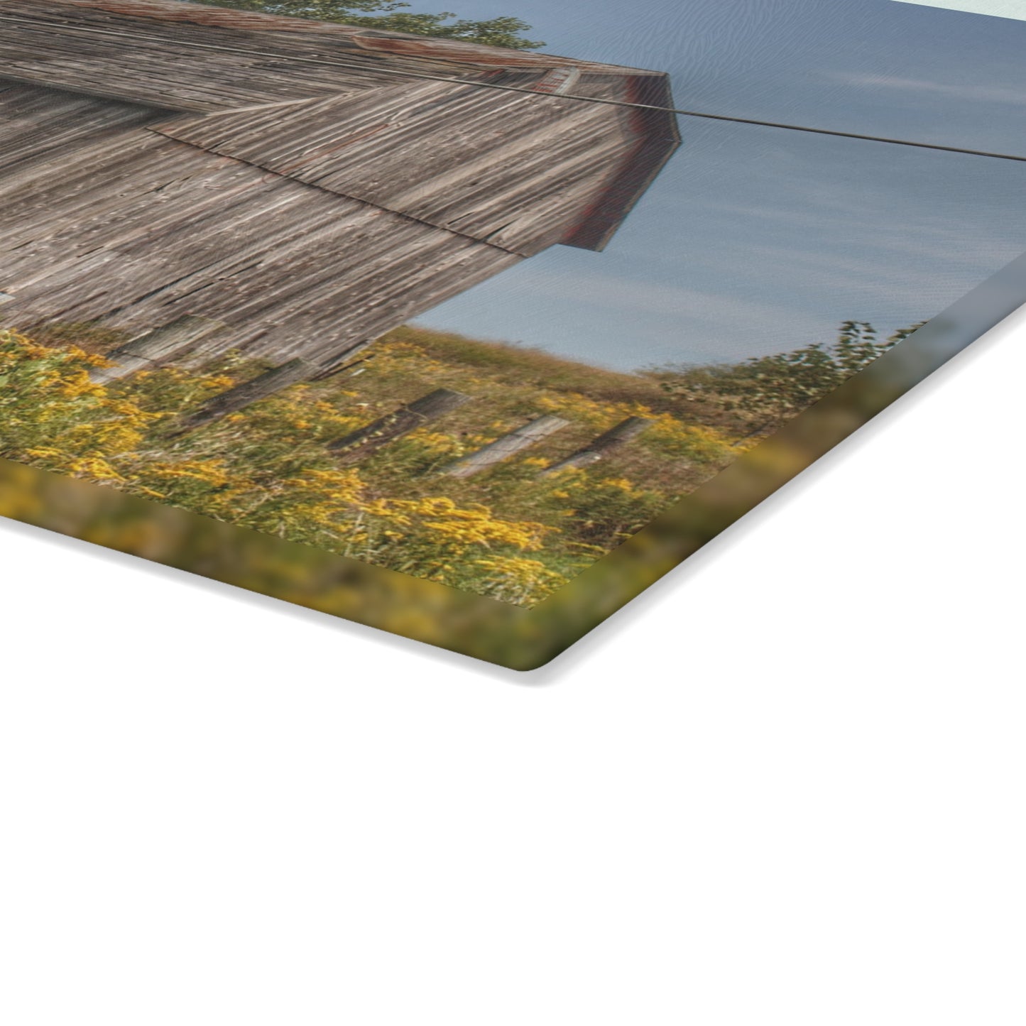 U R There Photography Schott Road Grey I Rustic Farmhouse Tempered-Glass Cutting Board
