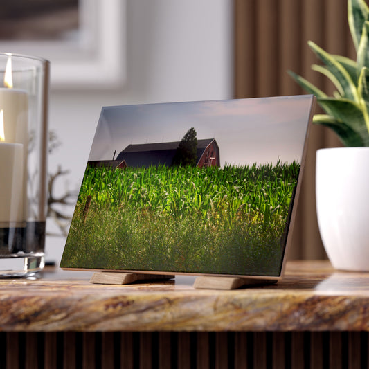U R There Photography Beyond the Corn in Metamora Rustic Farmhouse Decorative Ceramic Tile