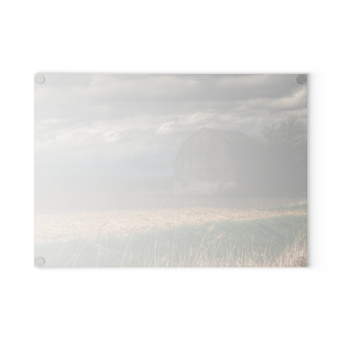 U R There Photography Sandusky Grey I Rustic Farmhouse Tempered-Glass Cutting Board