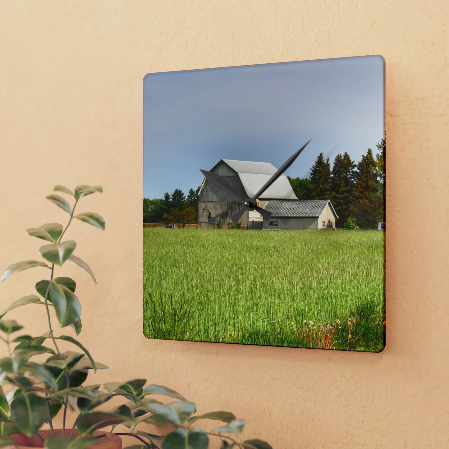 U R There Photography North Graf Road White Rustic Farmhouse Acrylic Analog Wall Clock