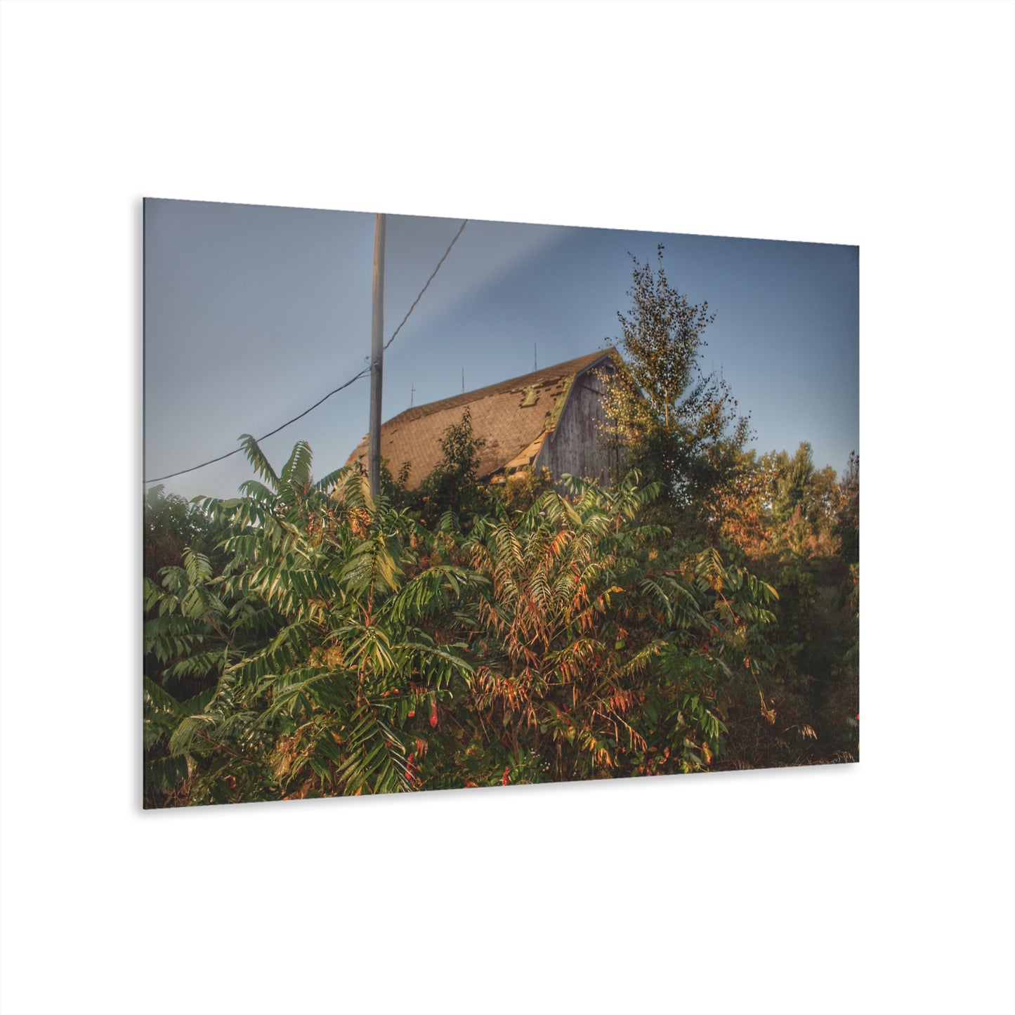 U R There Photography Hidden on Bearanger Road Rustic Farmhouse Acrylic Wall Print