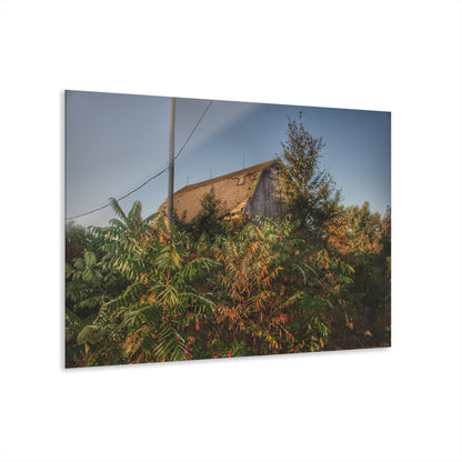 U R There Photography Hidden on Bearanger Road Rustic Farmhouse Acrylic Wall Print