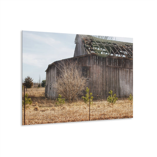 U R There Photography Leix Road Forgotten Grey II Rustic Farmhouse Acrylic Wall Print