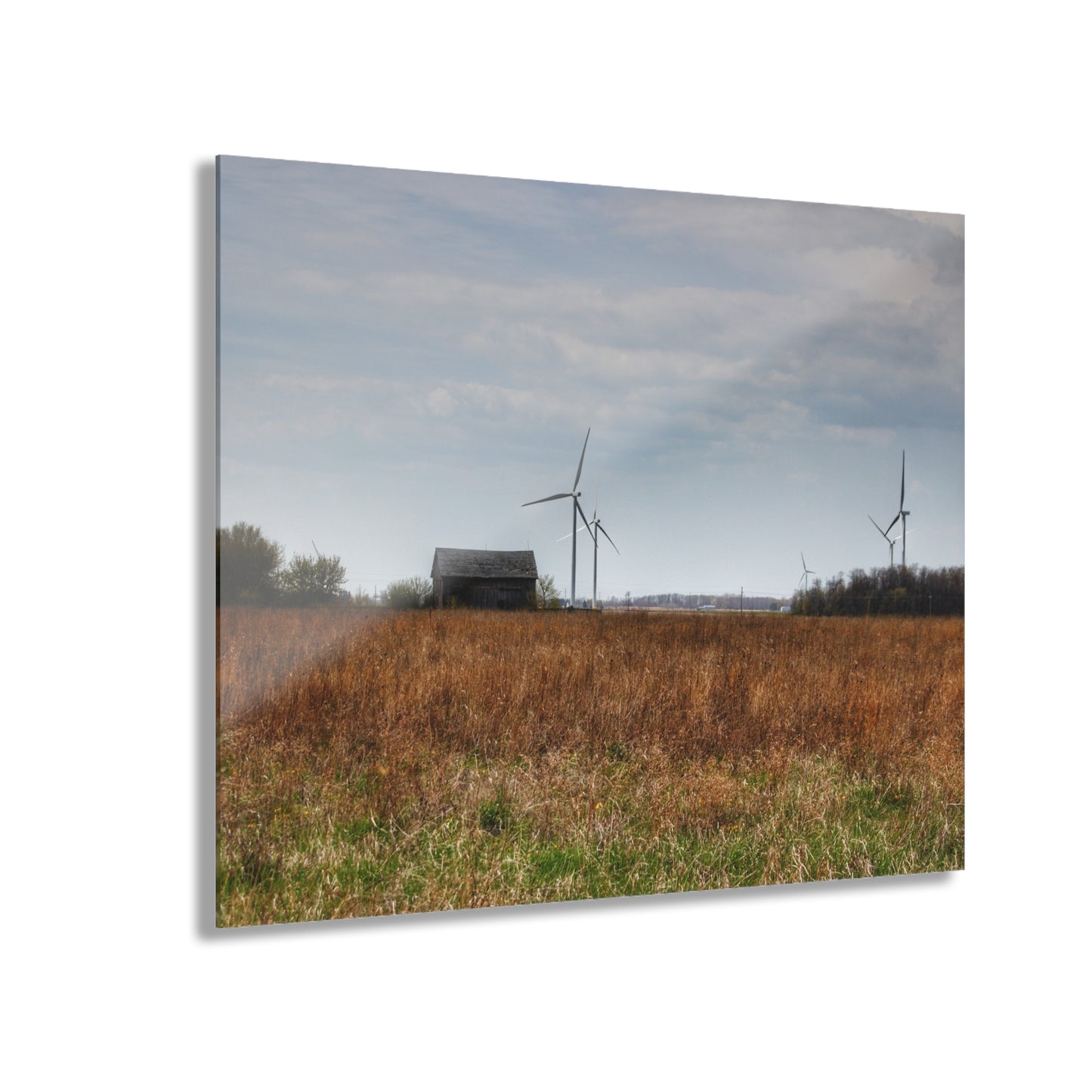 U R There Photography Surin Road Grey Rustic Farmhouse Acrylic Wall Print