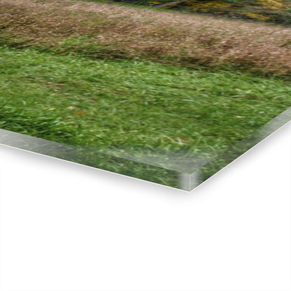 U R There Photography Mount Morris Road Grey in the Fall Rustic Farmhouse Acrylic Wall Print