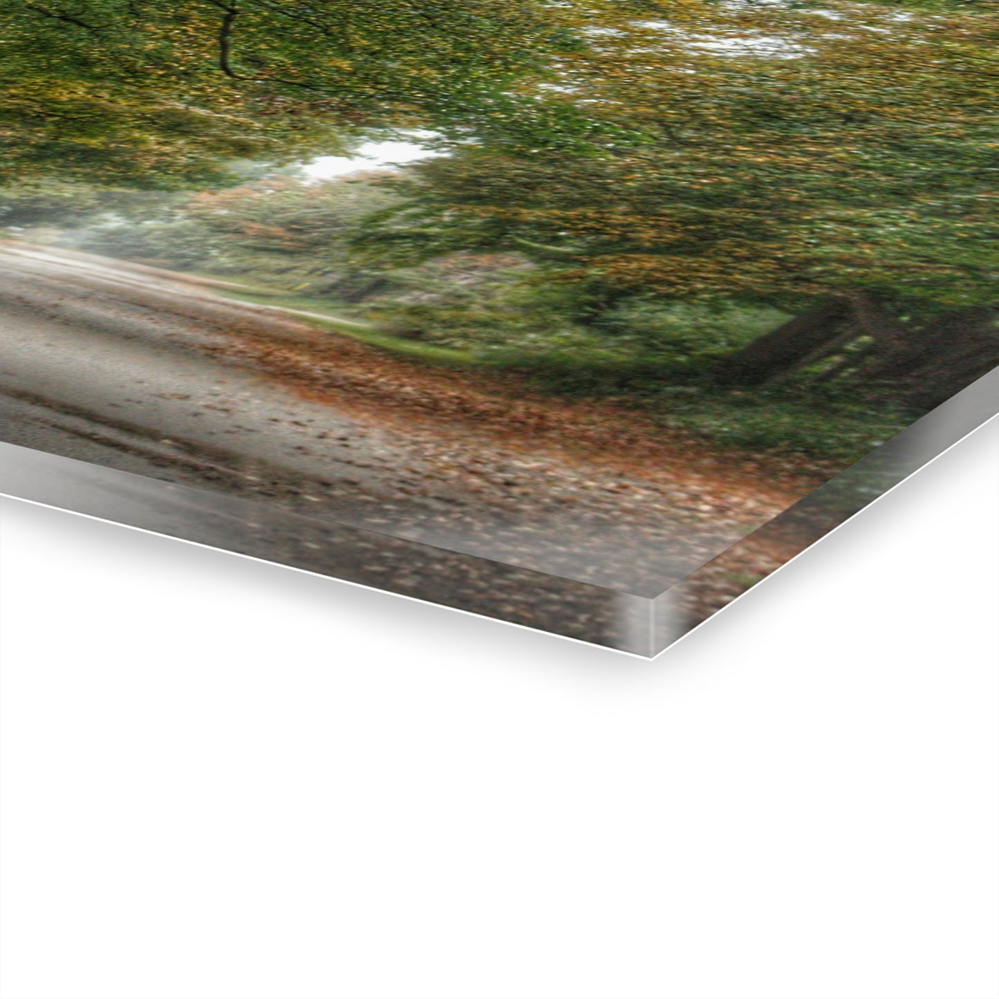 U R There Photography Country Roads in Millington Rustic Farmhouse Acrylic Wall Print