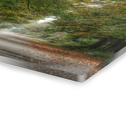 U R There Photography Country Roads in Millington Rustic Farmhouse Acrylic Wall Print