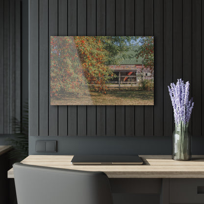 U R There Photography Farrand Road Red Coral by Flowering Tree Rustic Farmhouse Acrylic Wall Print