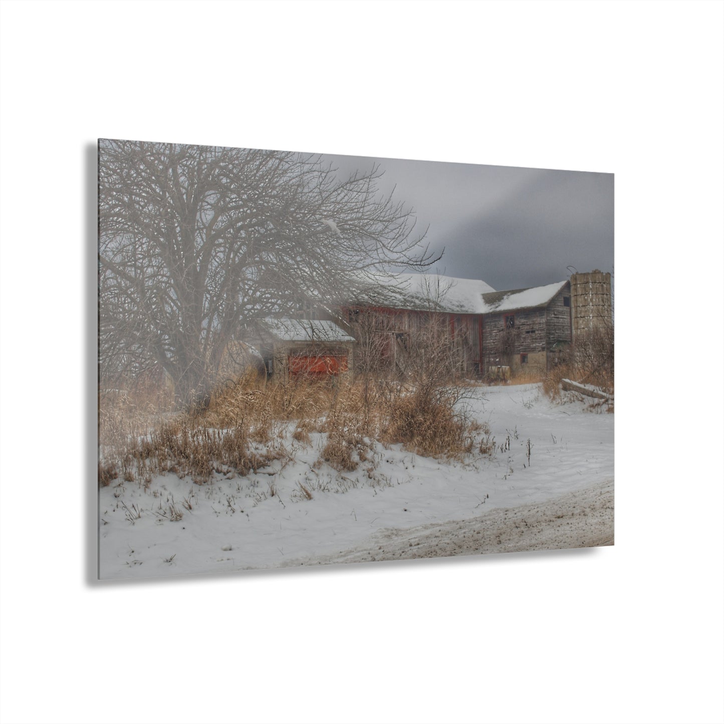U R There Photography Midwinter Red Rustic Farmhouse Acrylic Wall Print