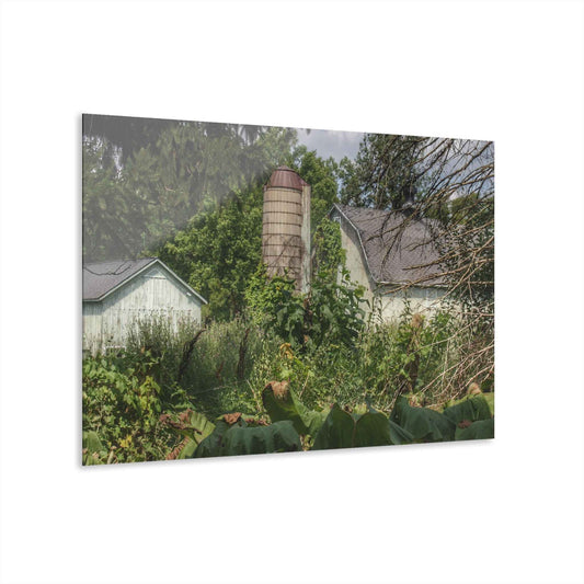 U R There Photography Clark Road Hidden Rustic Farmhouse Acrylic Wall Print