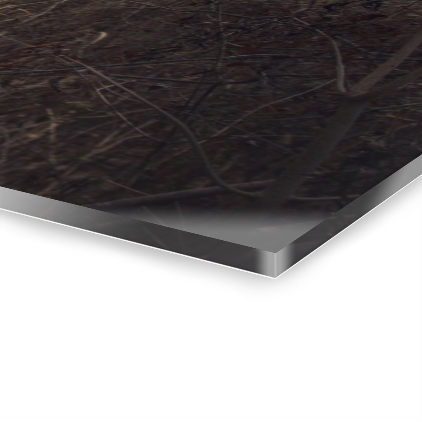 U R There Photography Mayville Hidden Barn I Rustic Farmhouse Acrylic Wall Print