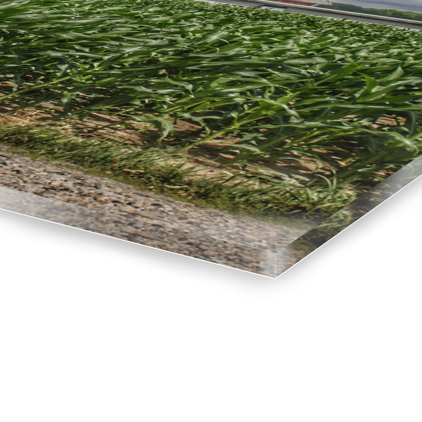 U R There Photography Millington Road Reds Rustic Farmhouse Acrylic Wall Print