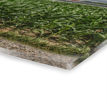 U R There Photography Millington Road Reds Rustic Farmhouse Acrylic Wall Print