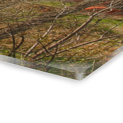 U R There Photography McDowell Road Reds III Rustic Farmhouse Acrylic Wall Print