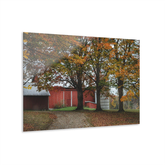 U R There Photography Brown Road Red in the Fall Rustic Farmhouse Acrylic Wall Print