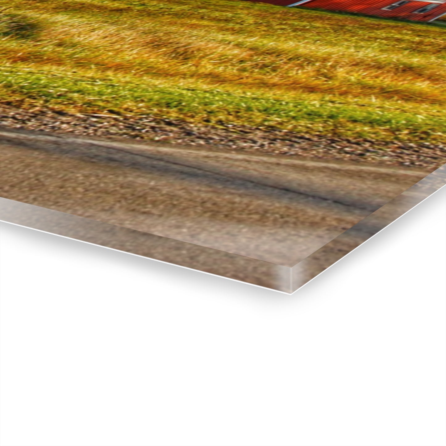 U R There Photography Marlette Road Farm I Rustic Farmhouse Acrylic Wall Print