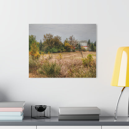 U R There Photography Hadley Road Hidden Red in Fall Rustic Farmhouse Acrylic Wall Print