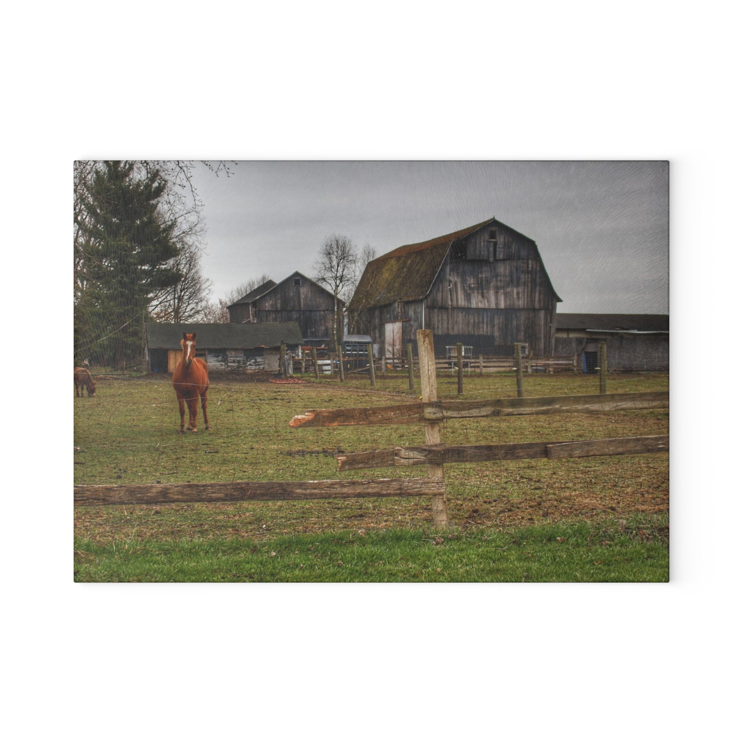 U R There Photography South Summers Road Old Grey and Caramel II Rustic Farmhouse Tempered-Glass Cutting Board