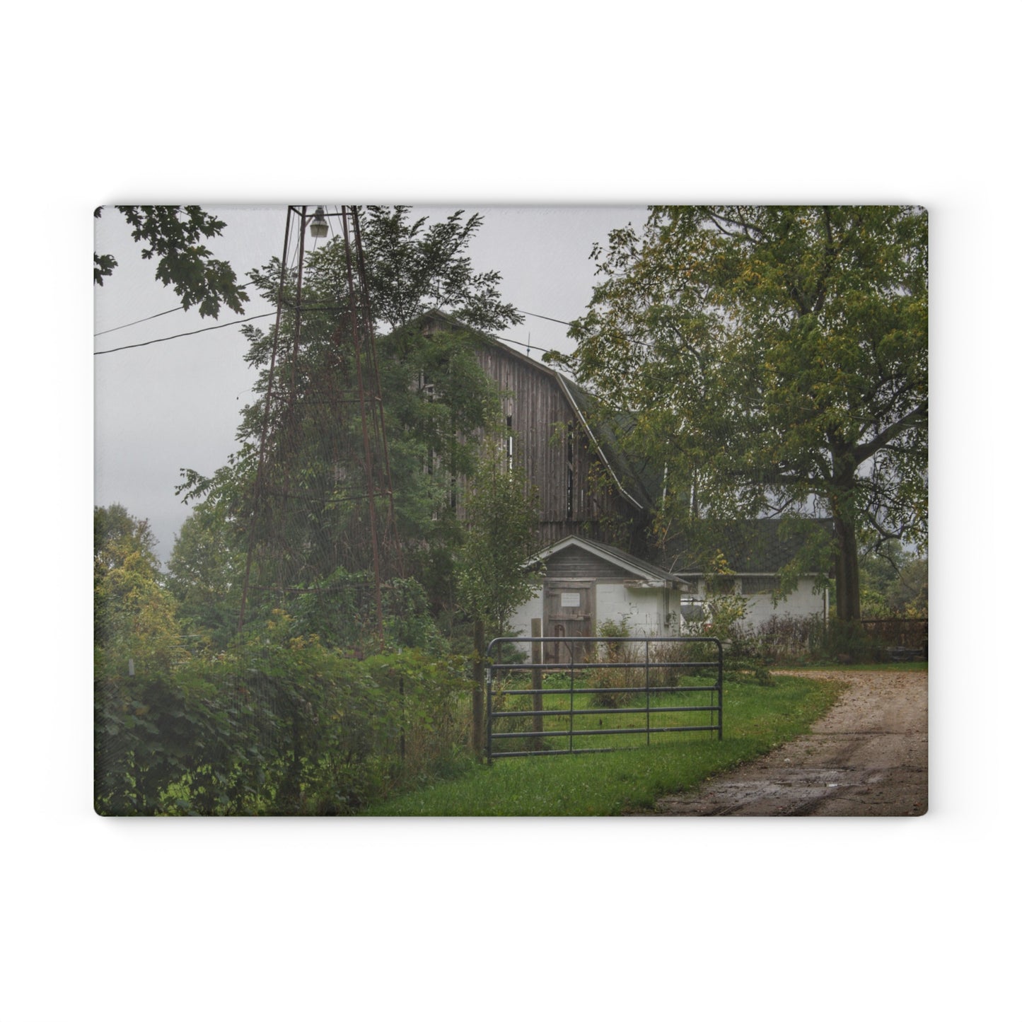 U R There Photography Noble Road Hidden Grey Rustic Farmhouse Tempered-Glass Cutting Board