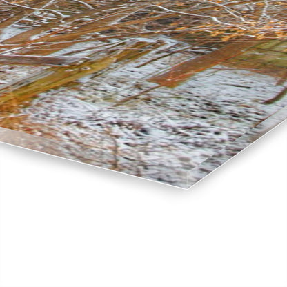 U R There Photography Dryden Road Hidden Winter Grey Rustic Farmhouse Acrylic Wall Print