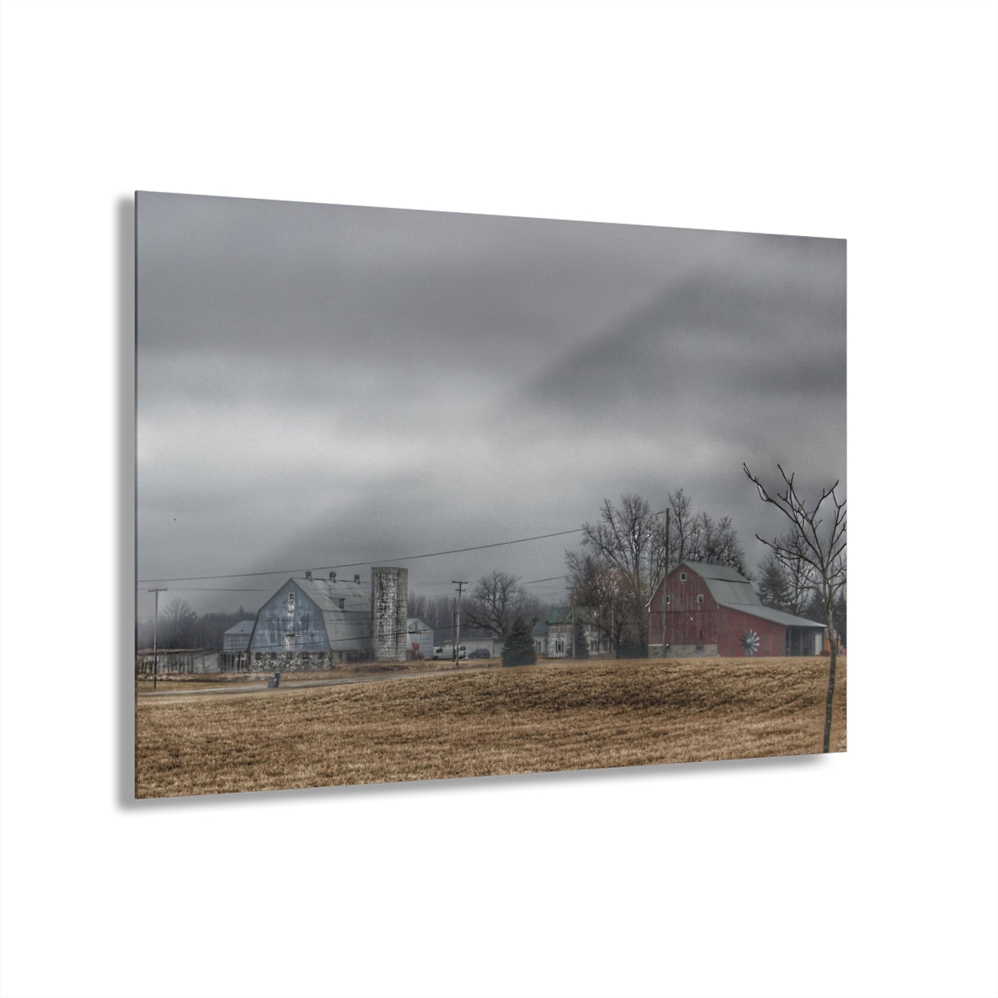 U R There Photography Daley Road Duo Rustic Farmhouse Acrylic Wall Print
