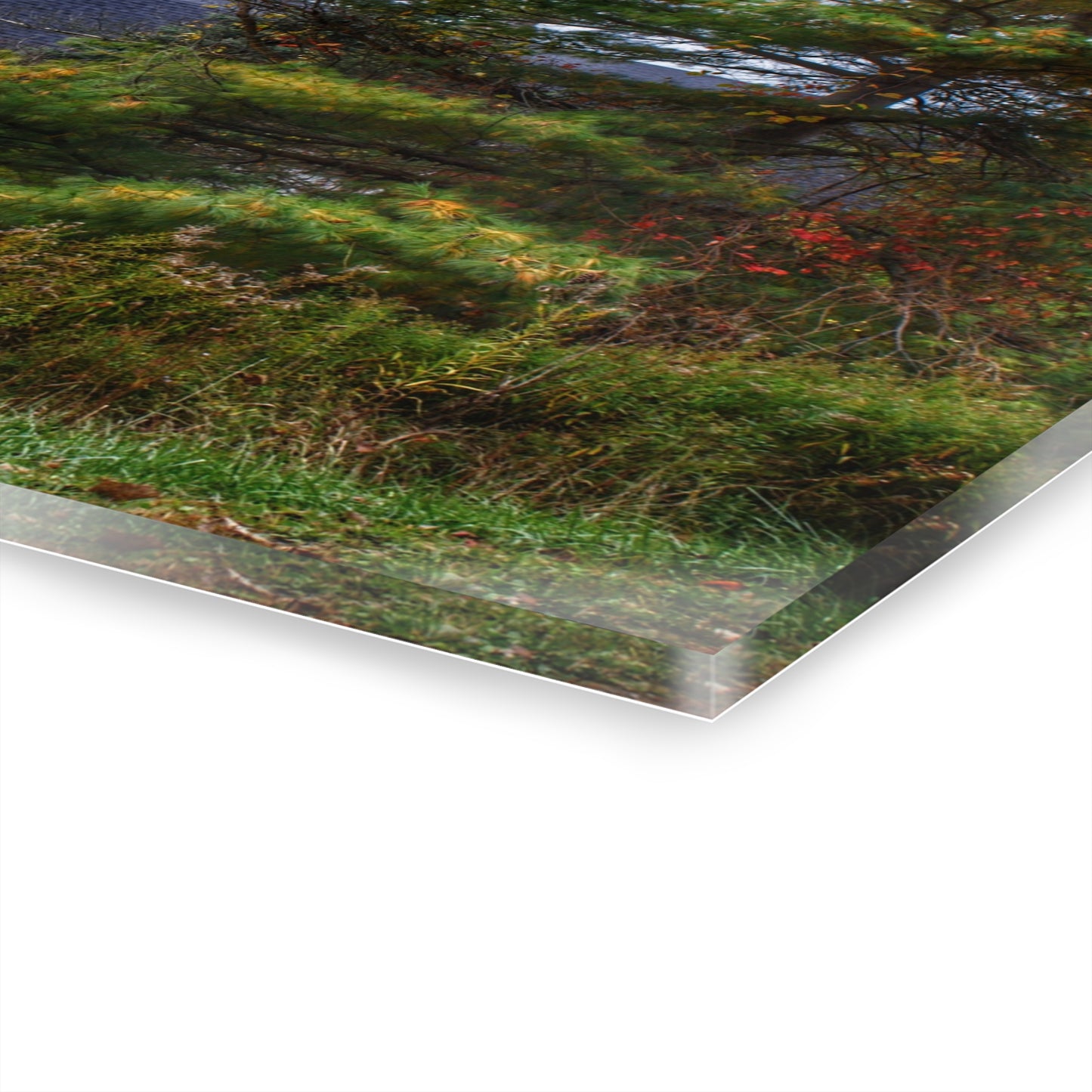 U R There Photography Green Corners Road Hidden Red Rustic Farmhouse Acrylic Wall Print