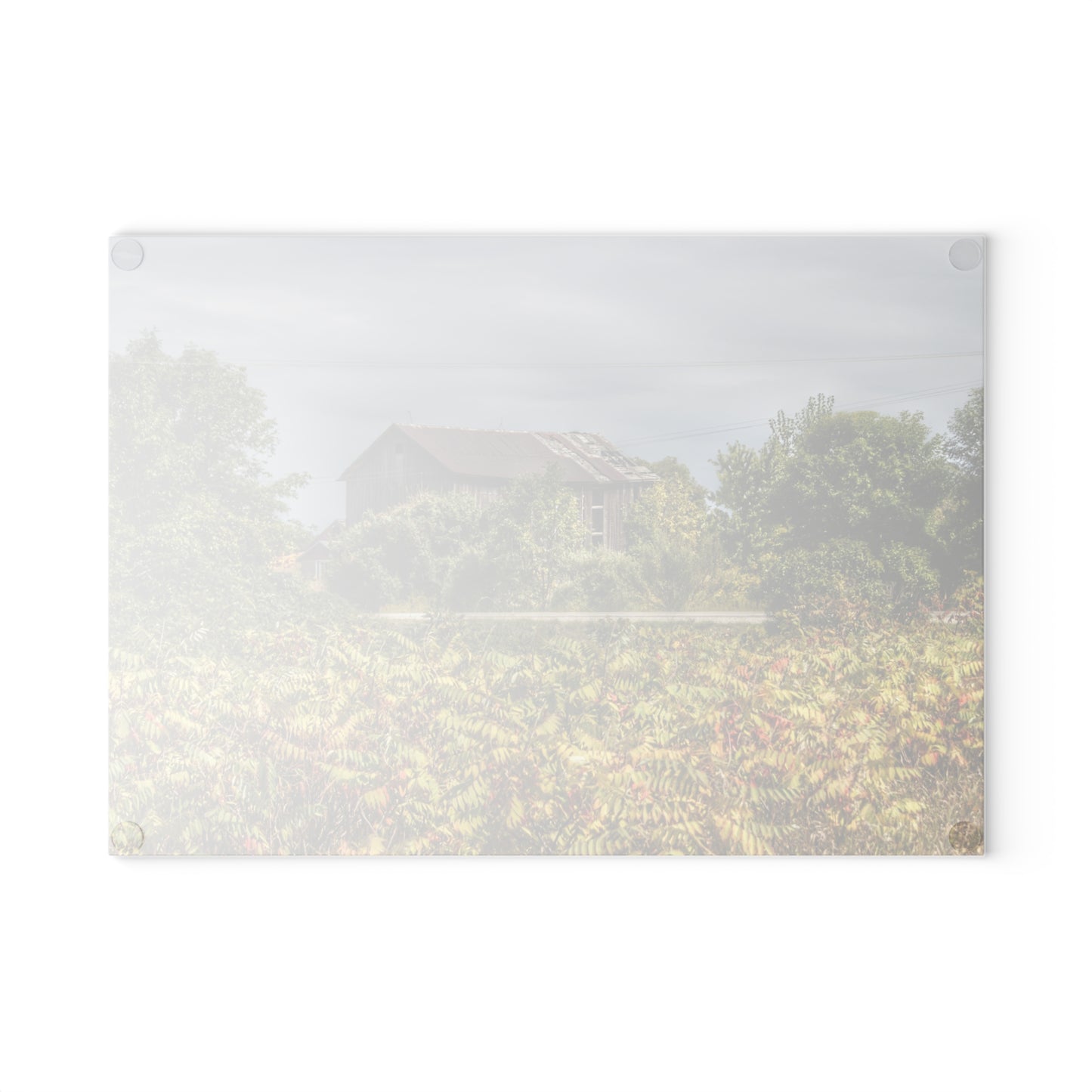 U R There Photography Van Dyke Grey Rustic Farmhouse Tempered-Glass Cutting Board