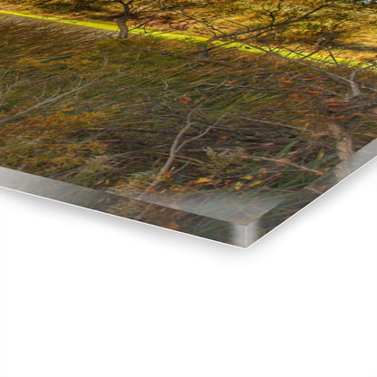 U R There Photography Fall Pond on Sutton Road Rustic Farmhouse Acrylic Wall Print