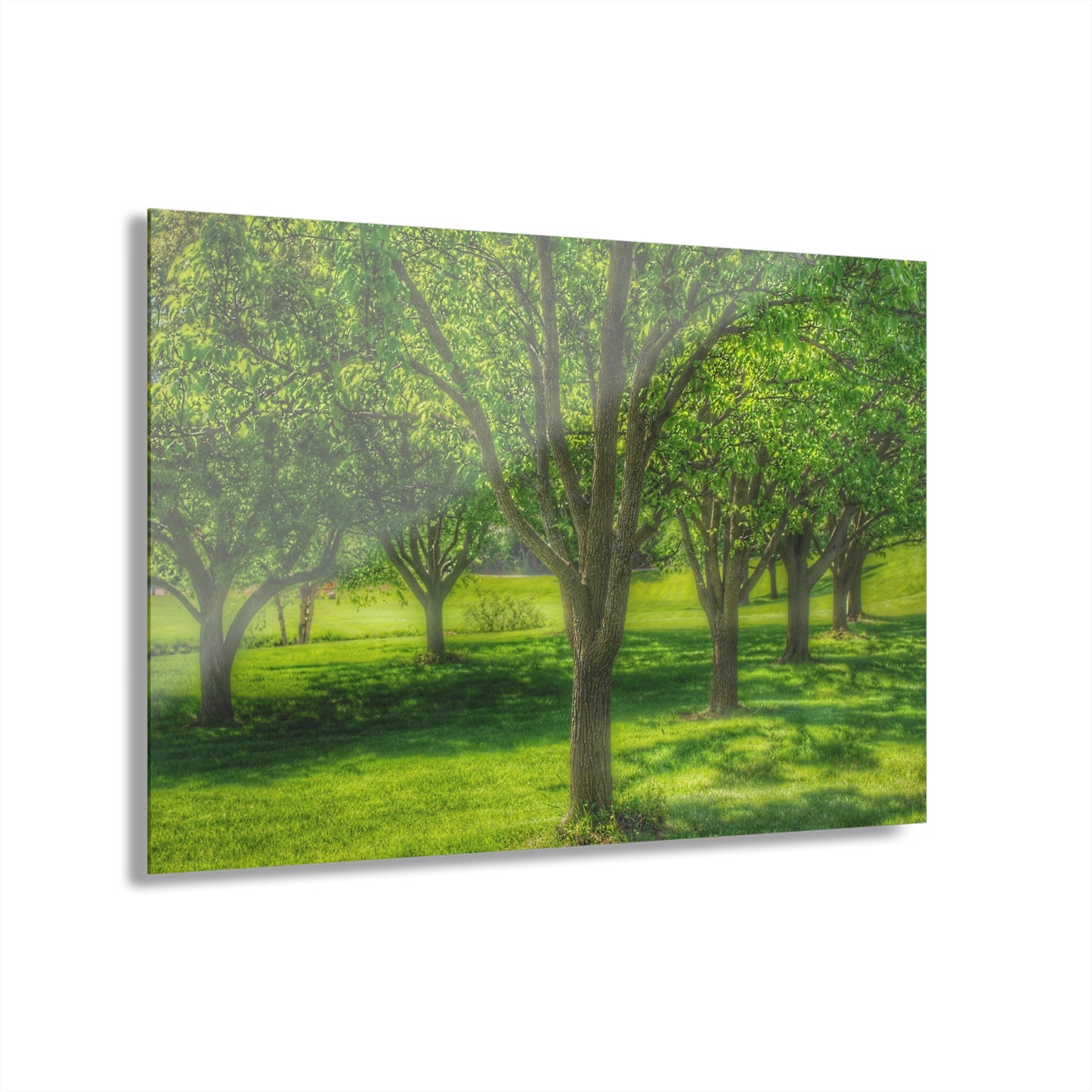 U R There Photography Spring Trees in Chartreuse Rustic Farmhouse Acrylic Wall Print