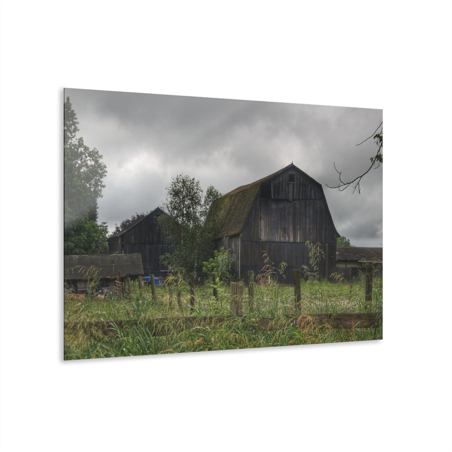 U R There Photography Greys of Summer Road Rustic Farmhouse Acrylic Wall Print