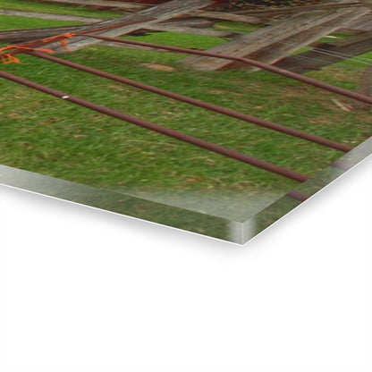 U R There Photography Dodge Road Forgotten Greys Rustic Farmhouse Acrylic Wall Print