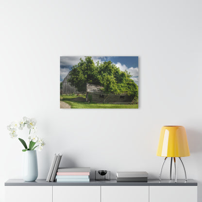 U R There Photography Brown City Road Barn and Buddy I Rustic Farmhouse Acrylic Wall Print
