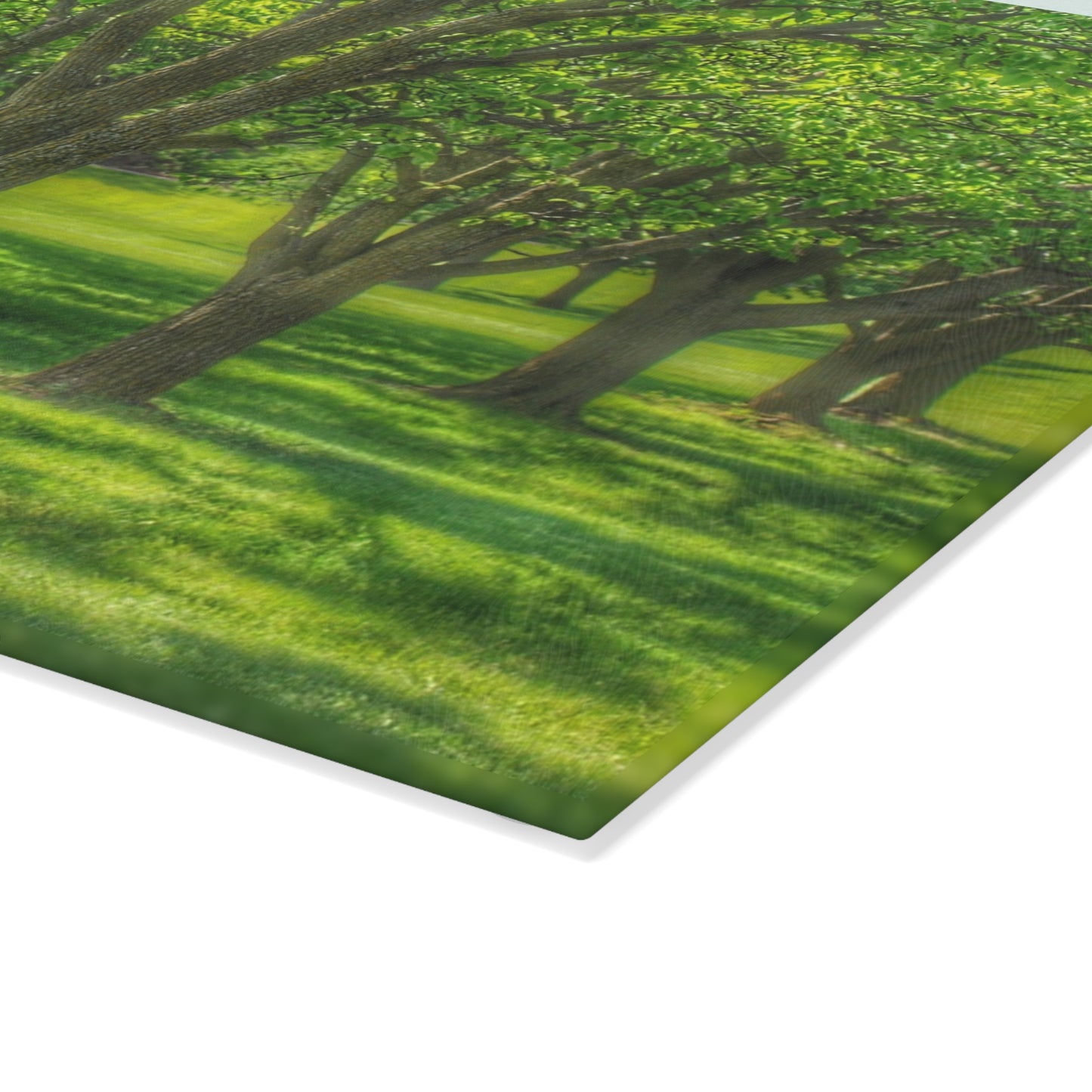 U R There Photography Spring Trees in Chartreuse Rustic Farmhouse Tempered-Glass Cutting Board
