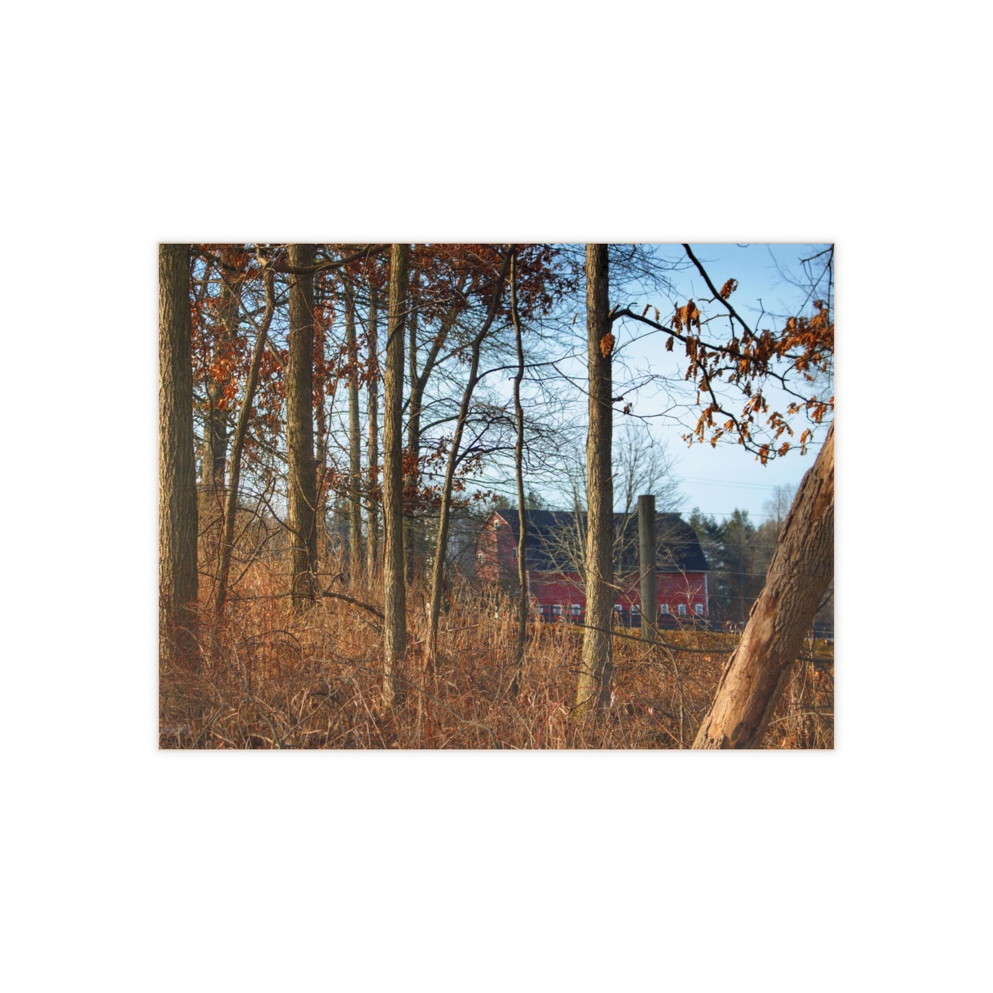 U R There Photography Blood Road Red II Rustic Farmhouse Decorative Ceramic Tile