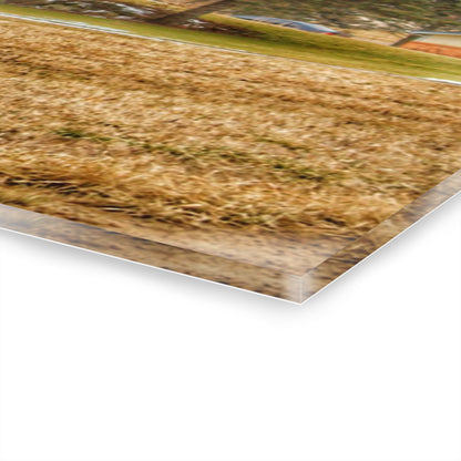 U R There Photography Laur Road Red Among the Pines I Rustic Farmhouse Acrylic Wall Print