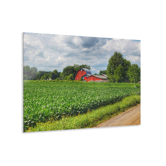 U R There Photography Block Road Reds Rustic Farmhouse Acrylic Wall Print