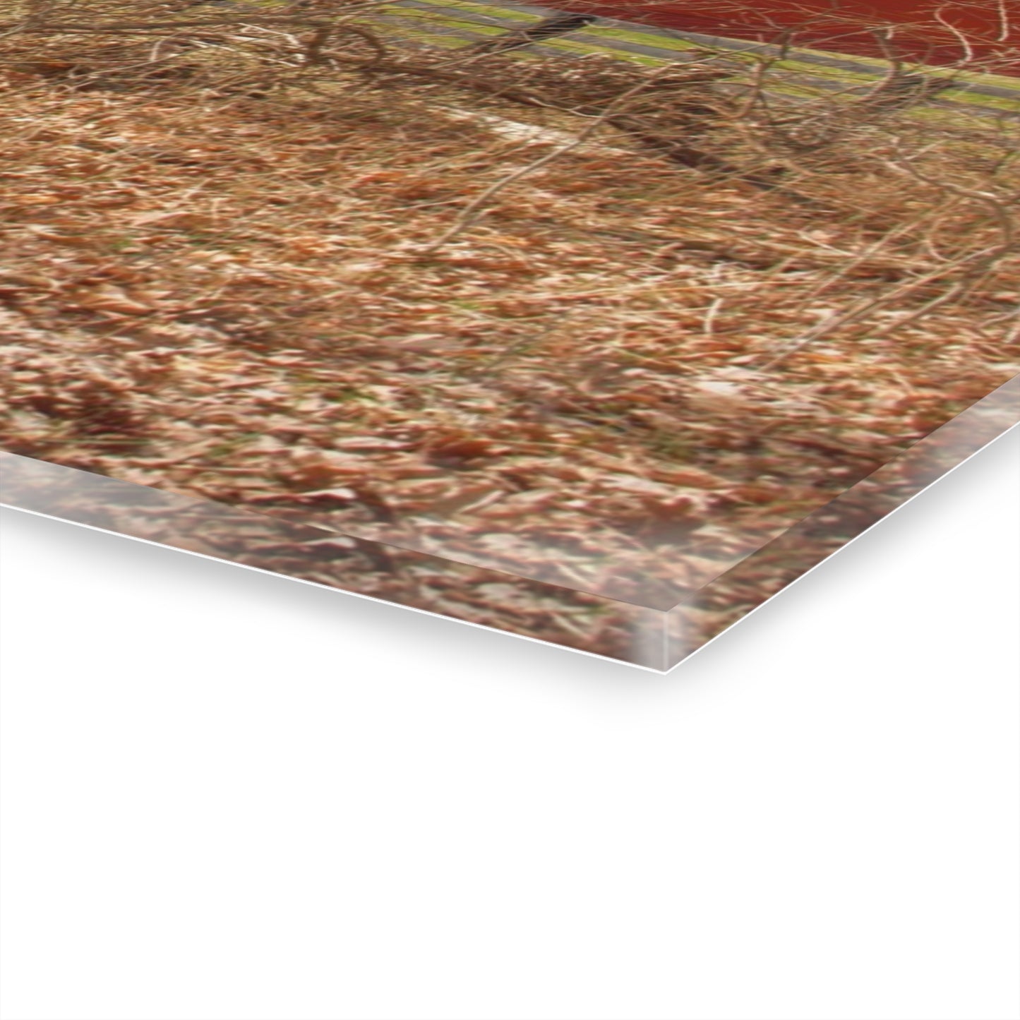 U R There Photography Hidden Hosner Reds Rustic Farmhouse Acrylic Wall Print