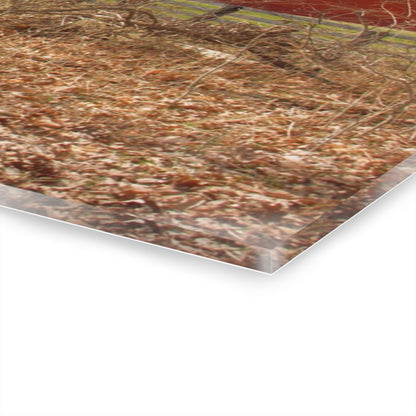 U R There Photography Hidden Hosner Reds Rustic Farmhouse Acrylic Wall Print