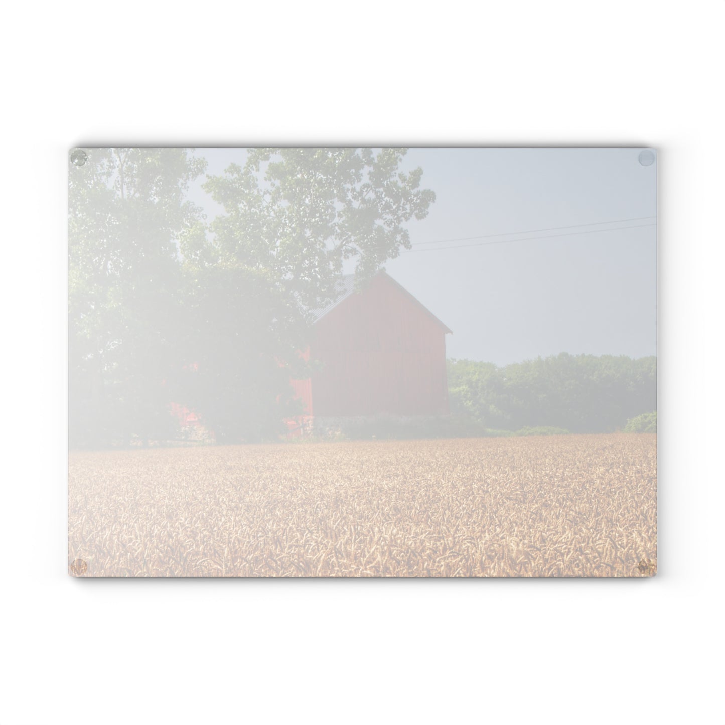 U R There Photography Tubspring Road Hidden Red Rustic Farmhouse Tempered-Glass Cutting Board